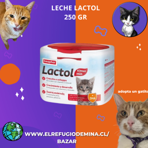 Leche lactol 250 gr