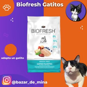Biofresh gatitos 1.5 kg