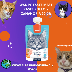 Wanpy taste meat paste pollo y zanahorias 90 gr