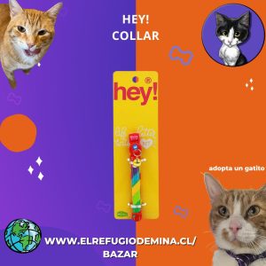 hey! collar aircoiris