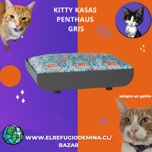 kitty kasas penthaus gris