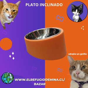 Plato inclinado acero inoxidable naranjo