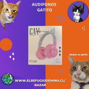 Rifa para gatitos audifonos gatito