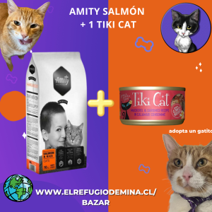 Amity salmón y arroz 10 kg (26-05-2026) + 1 Lata Tiki cat